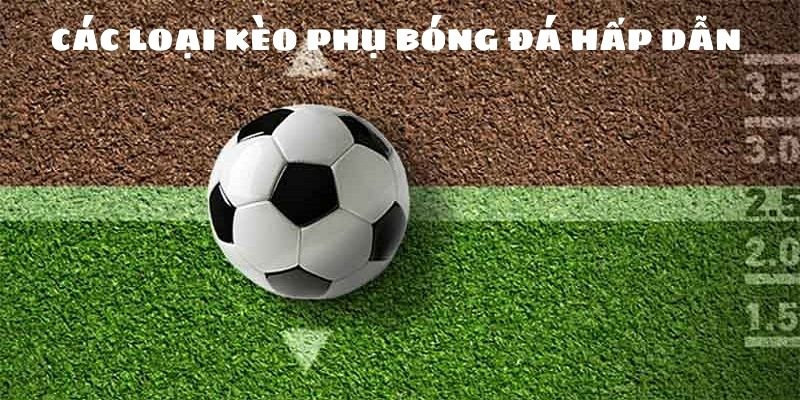 Tổng hợp dạng kèo phụ đặc biệt giảm thiểu rủi ro 